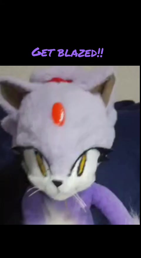 @Oneiros the cat