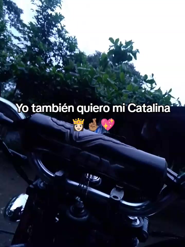 @الصيني