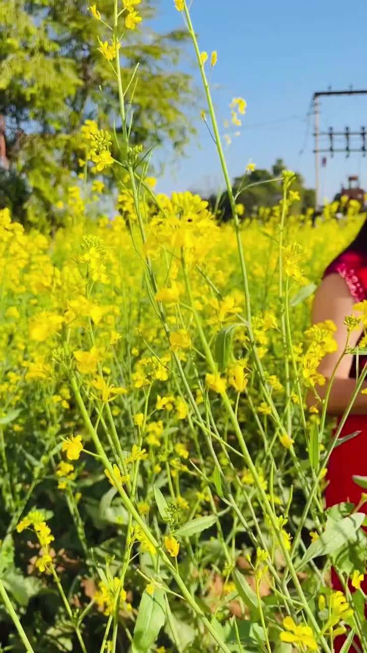 @ramoothakur18