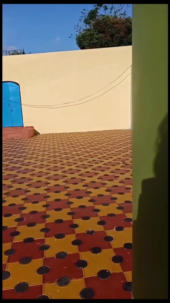 @🇸 🇦 🇮 🇲 🇴 🇳 👑