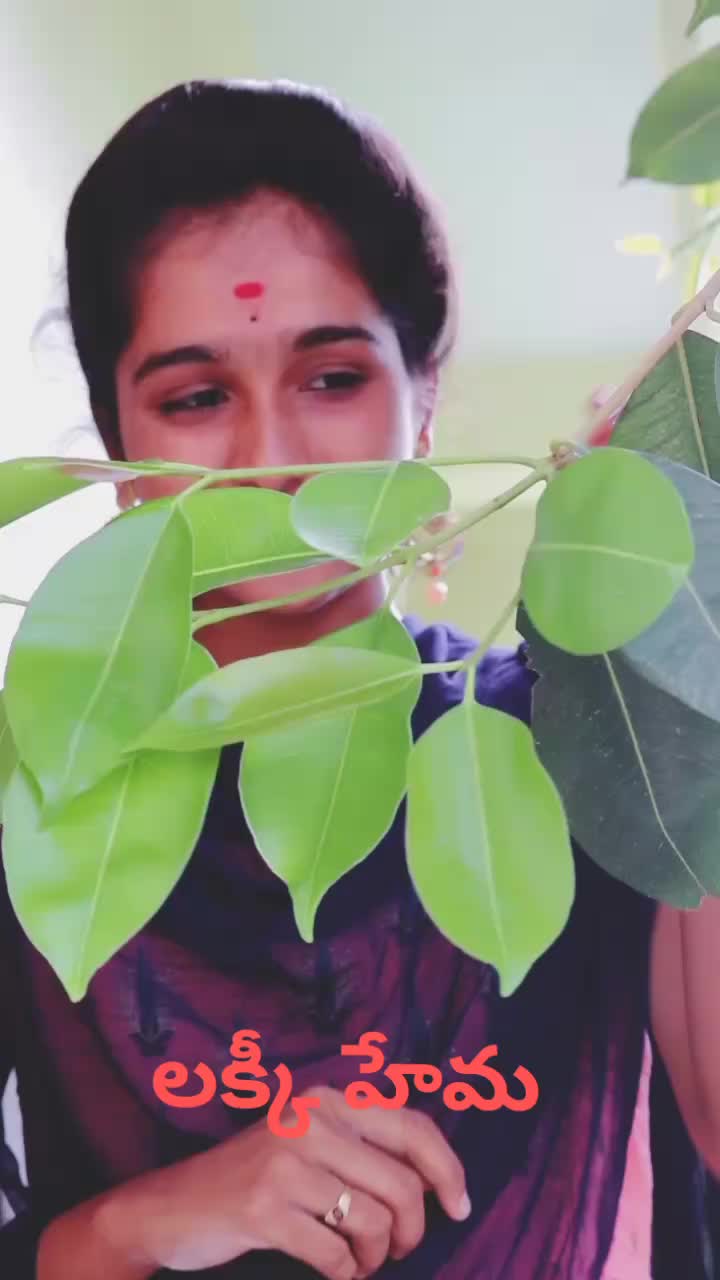 @v ravi kumar.NTR