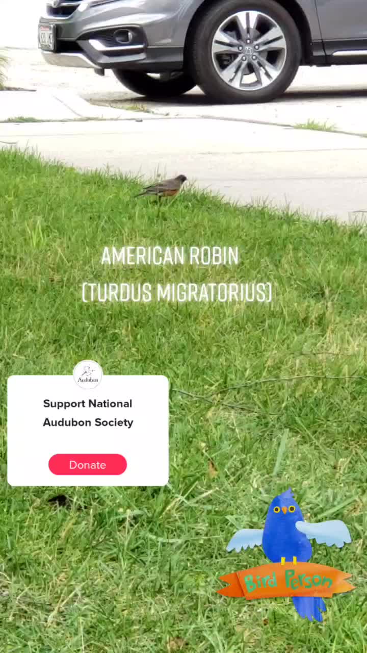 @Emcee Birder