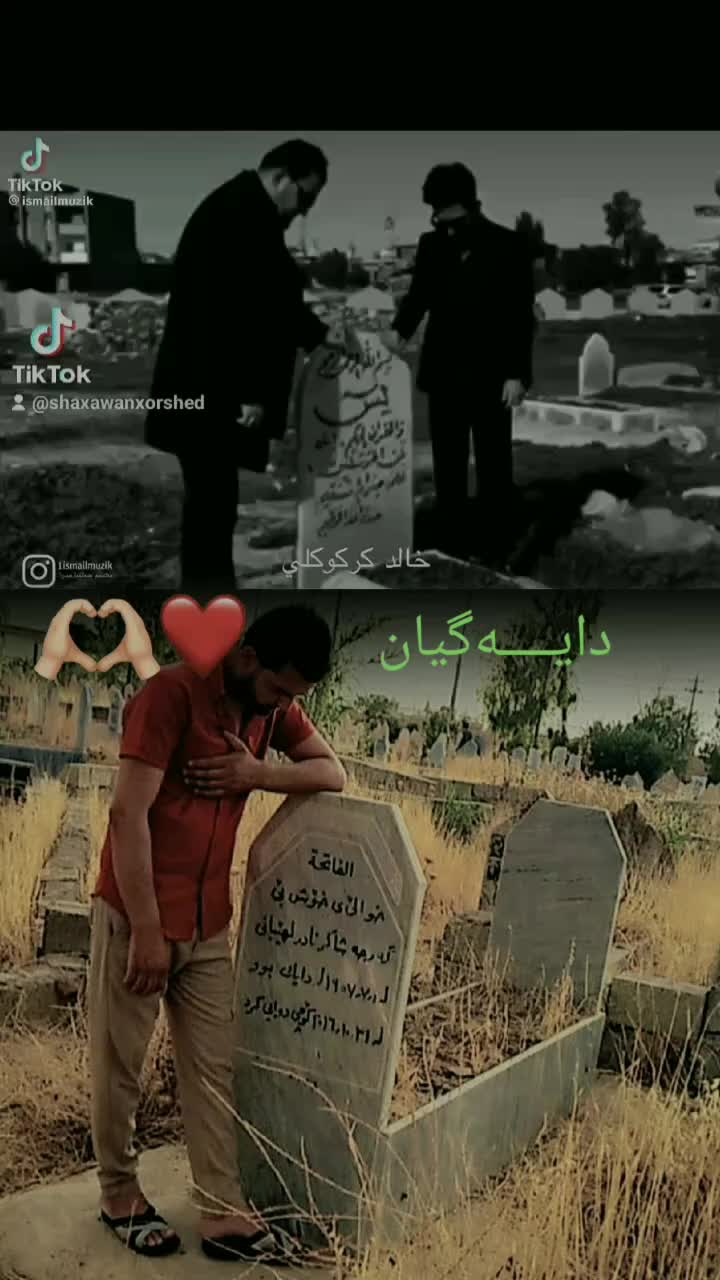 @*شــاخــەوان*🎵