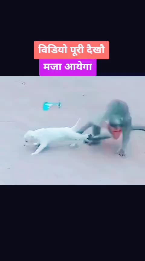 @💪Amit Nayak👍