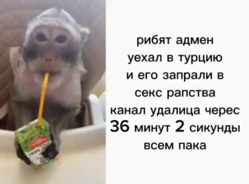 @Помидор