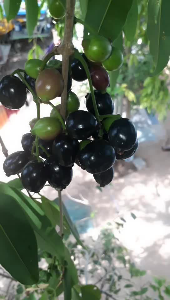 @RahulŘM0007