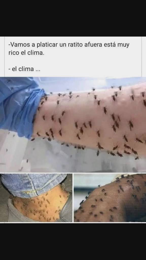 @la máquina