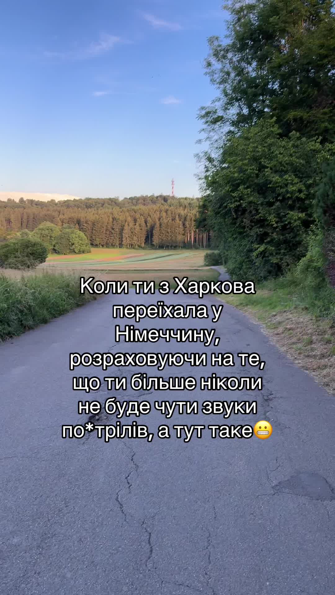 @miy12dim