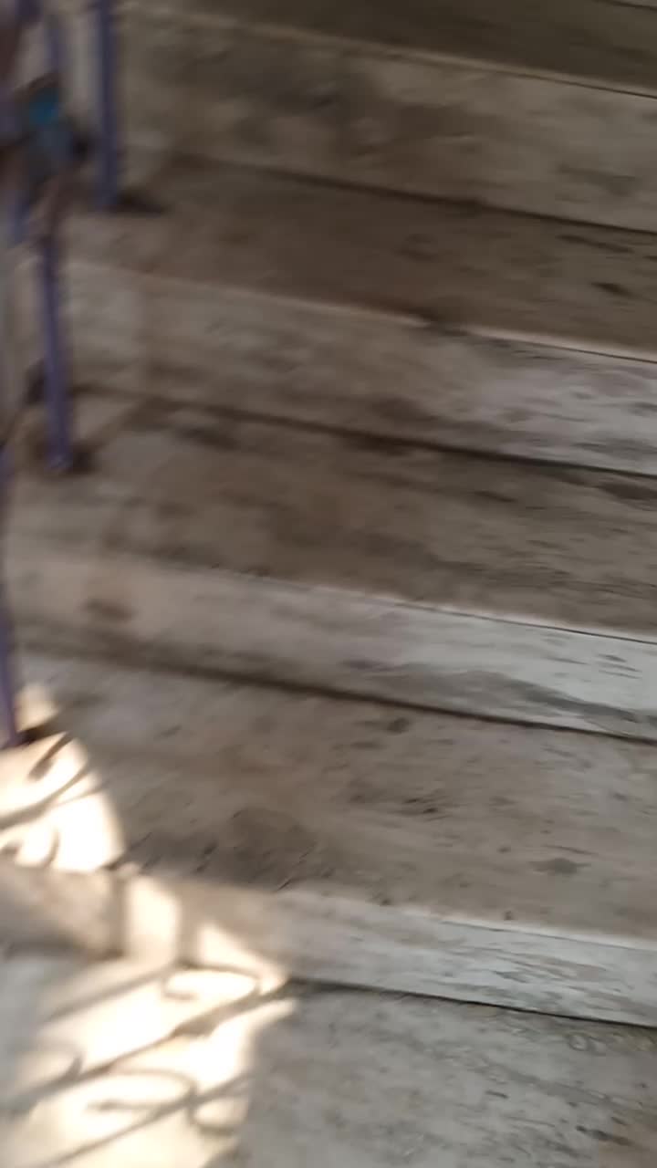 @user59946944244
