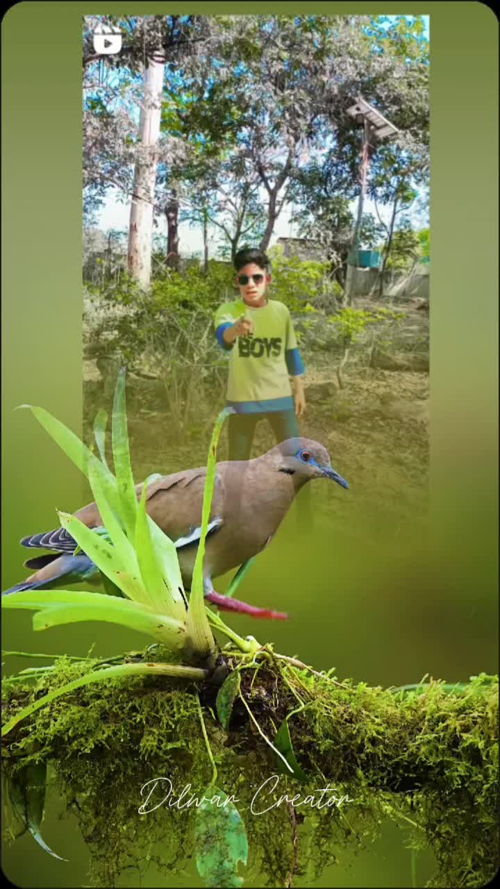 @pk raj