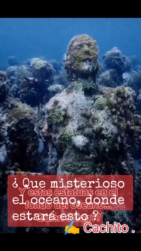 @Cachito