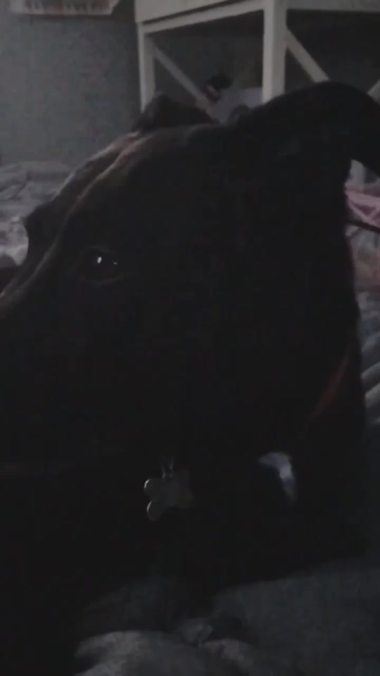 @Cöäl🐶
