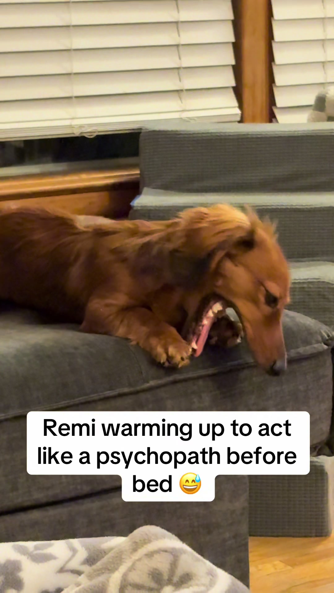 @remi.the.mini.ween