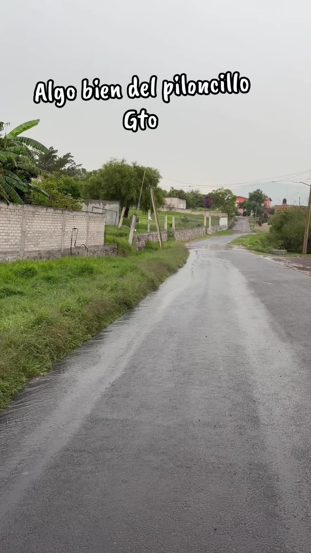 @Antony Saavedra