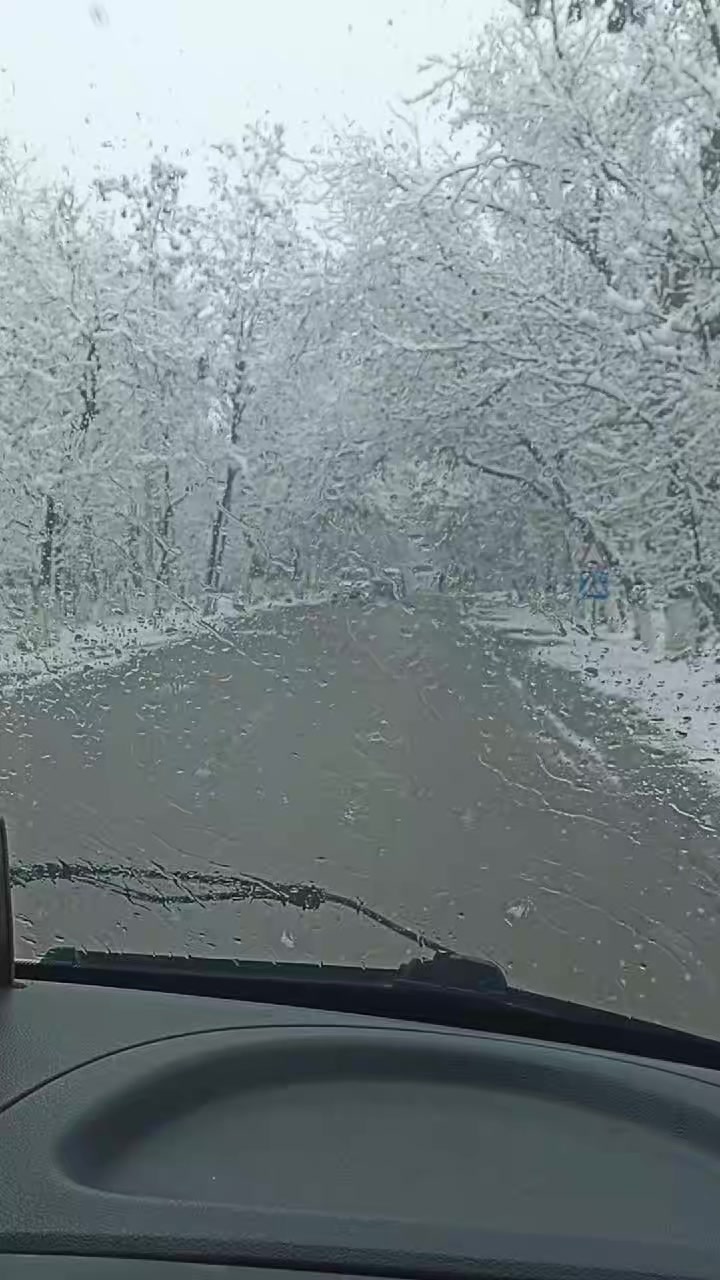 @Балтагулова