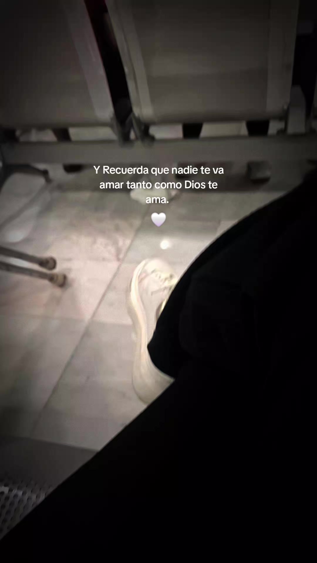 @🦋14♡🦋🍃