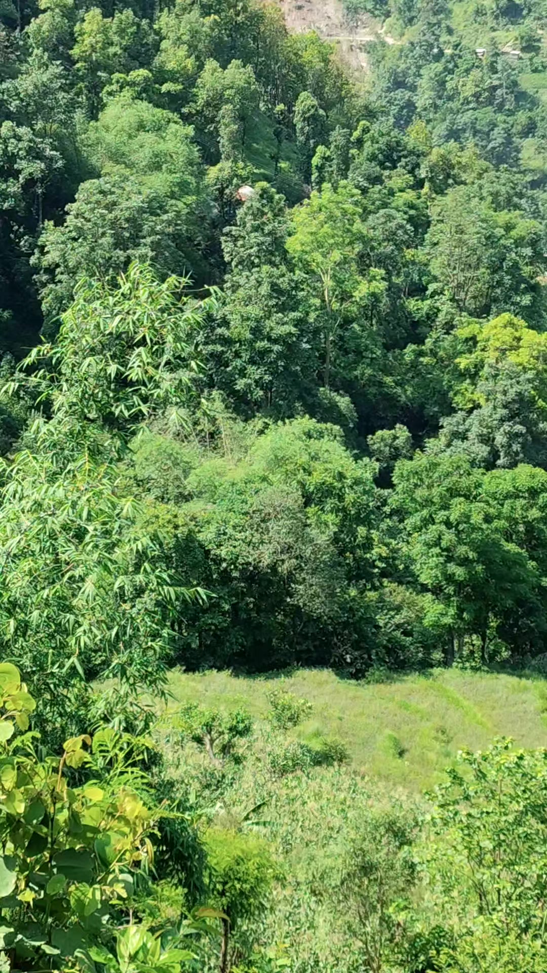 @S❤️M🇳🇵❤️