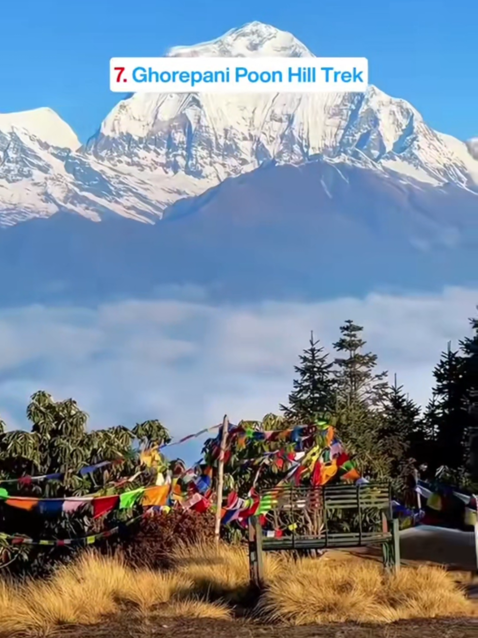 @MR.@राजु🧿