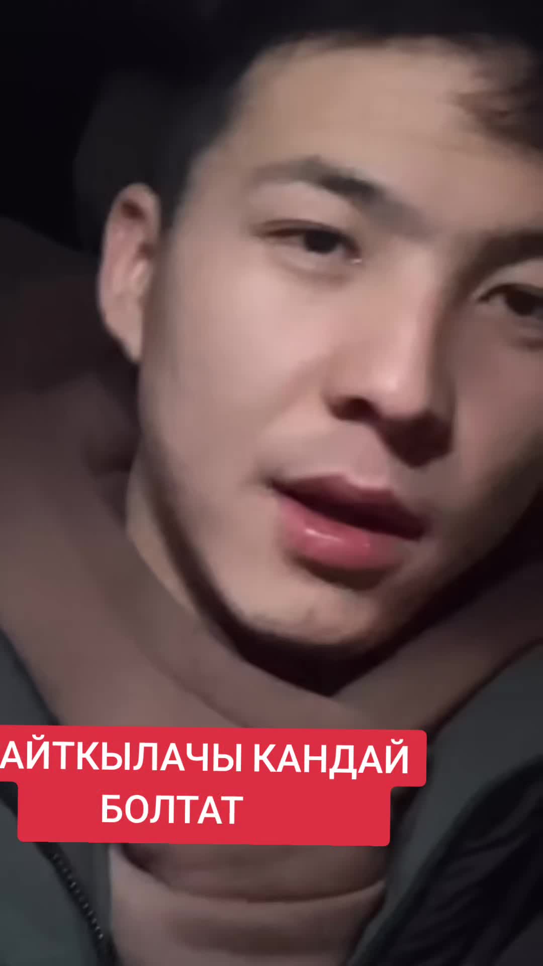 @elai.kg