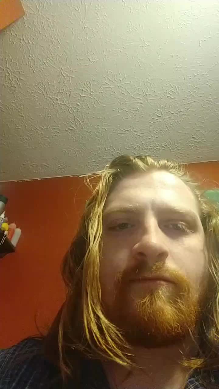 @Ginger Fodder