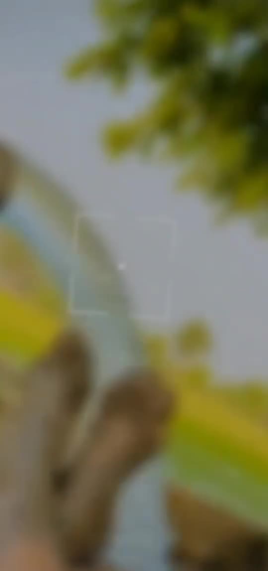 @sukhdhillon_1313