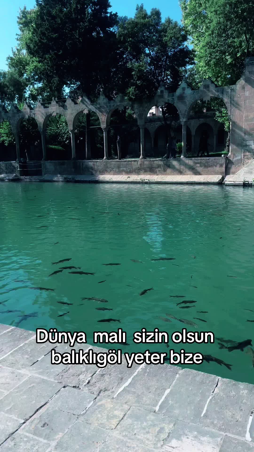 @alican