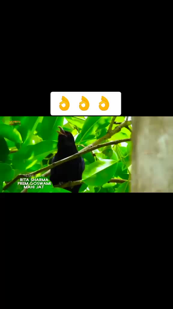 @🚩_जय 🔥श्री 🔥7773_