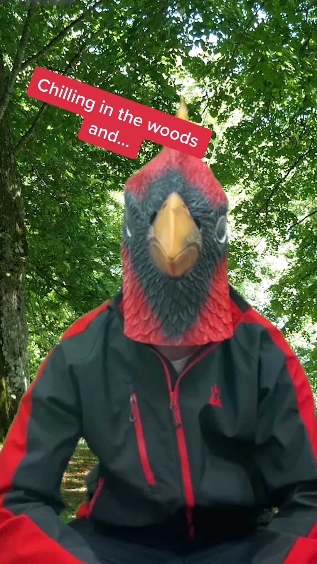 @BirdingSimulator