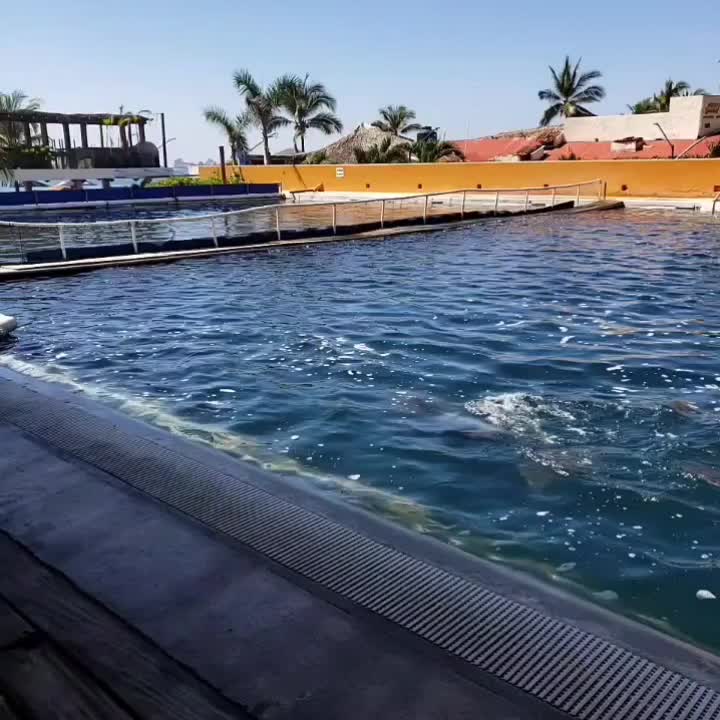 @Elias Isaías