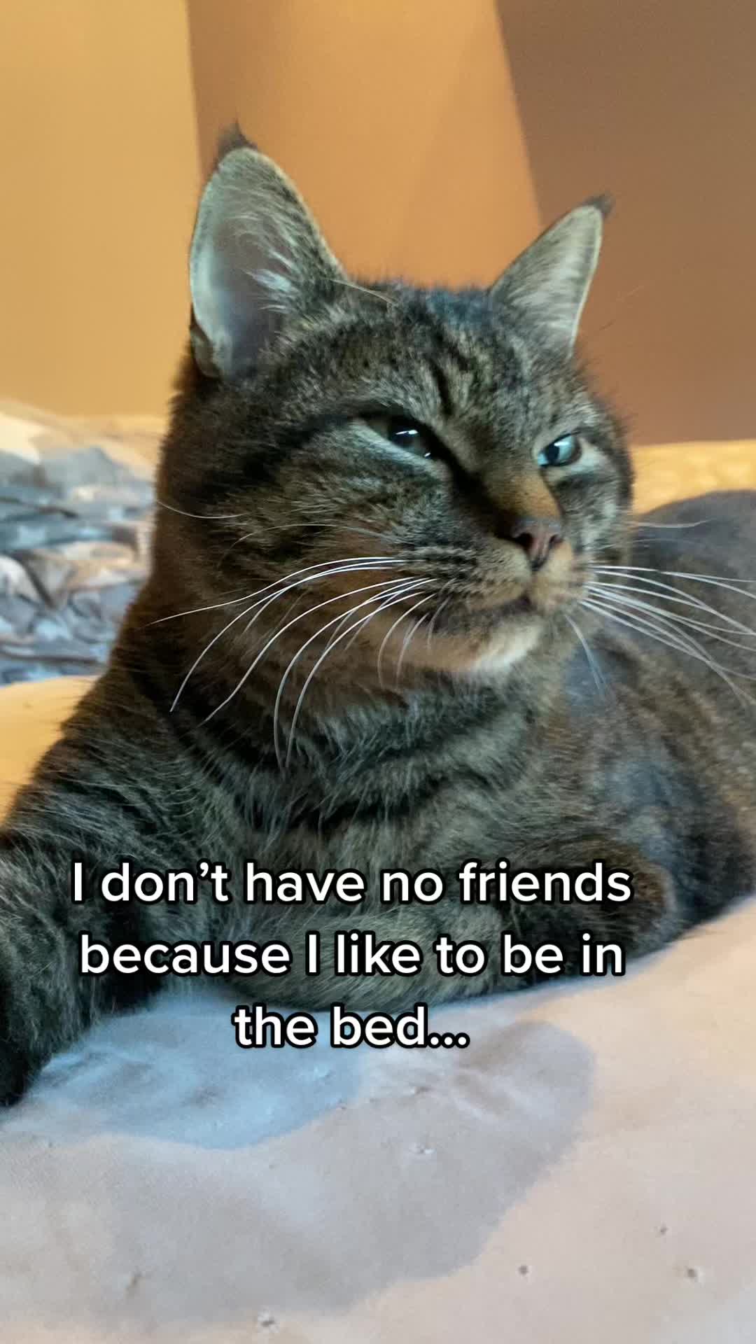 @Joep_the_ rescuecat