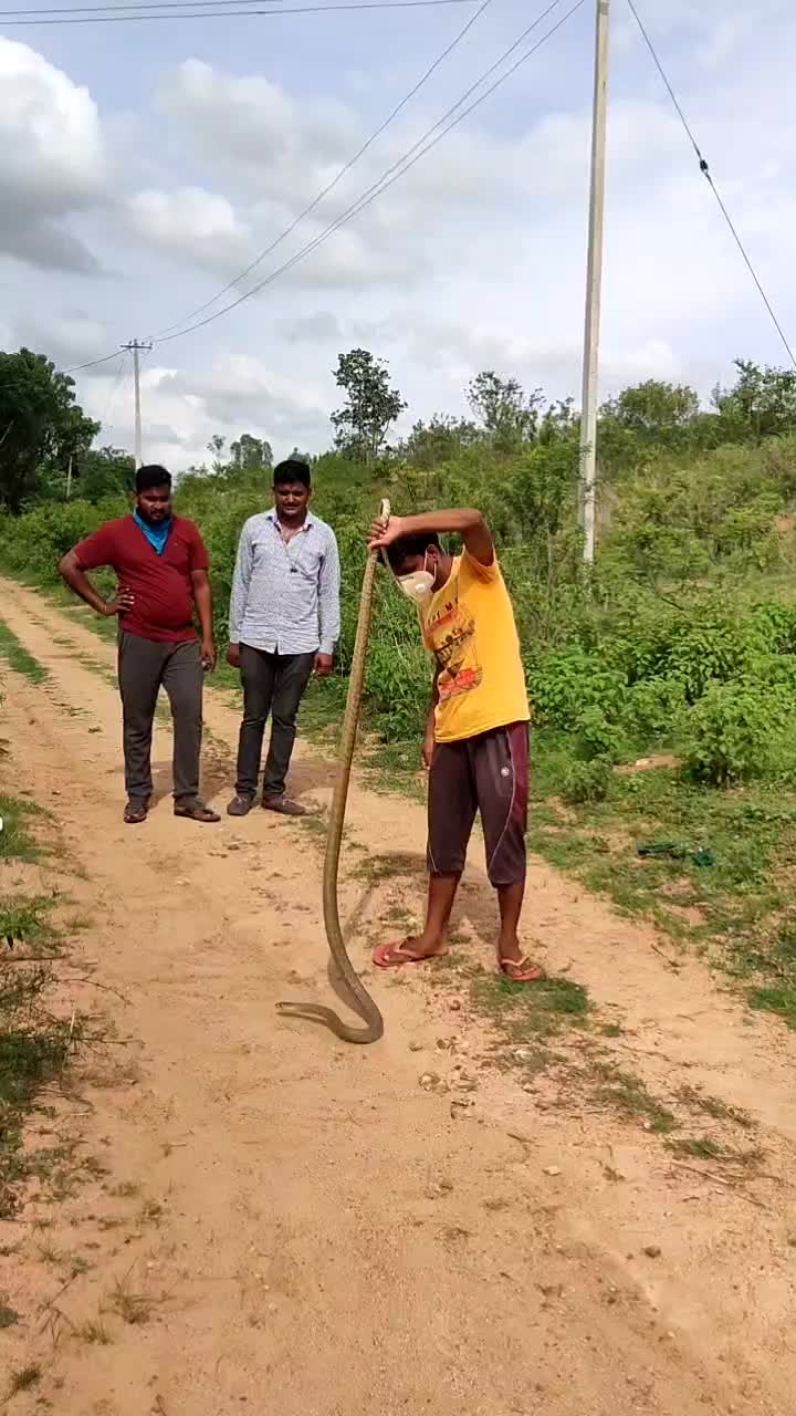 @Naga Raju