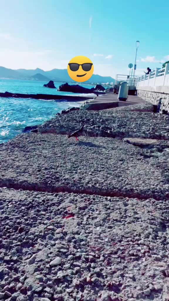 @naghmouchi06150