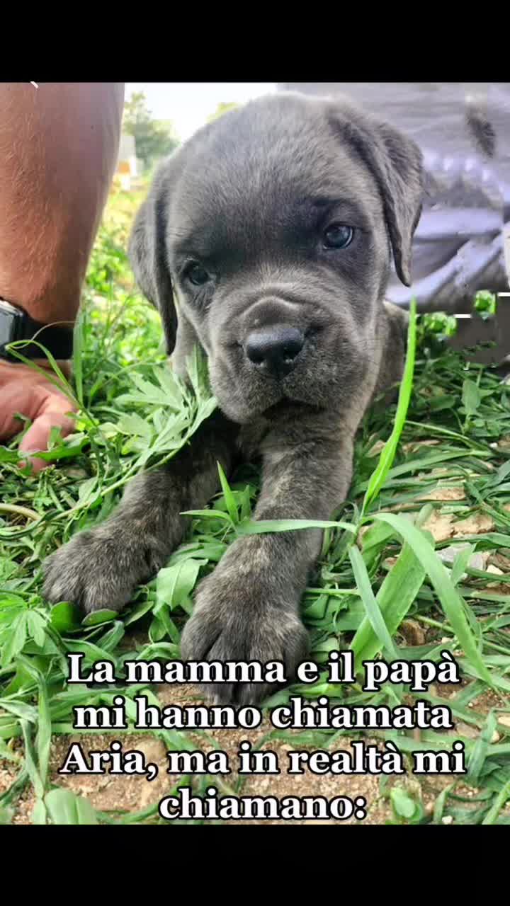 @Elena