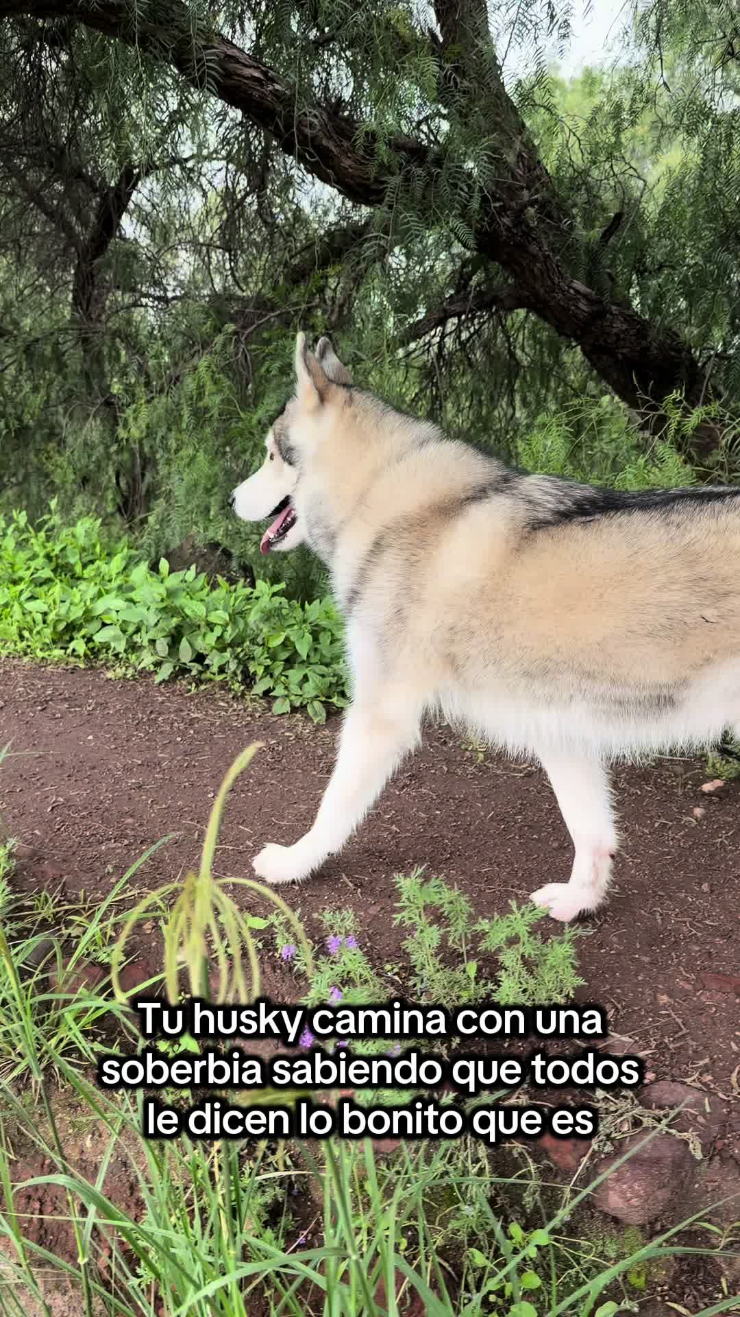 @KZ