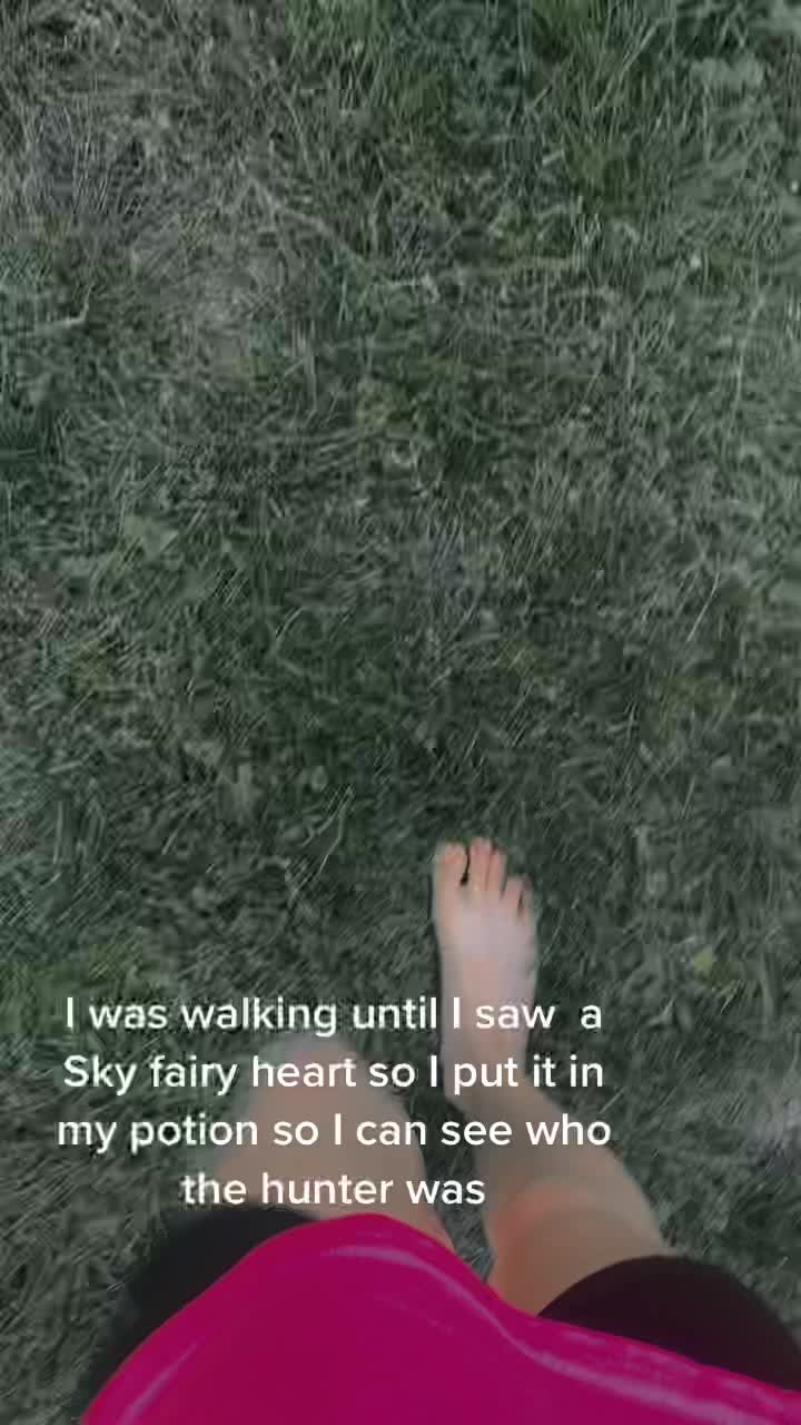 @Fairy hunter
