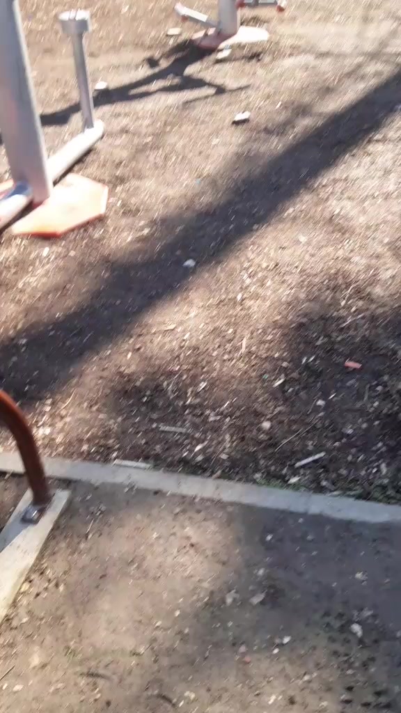 @Митко и Сашката