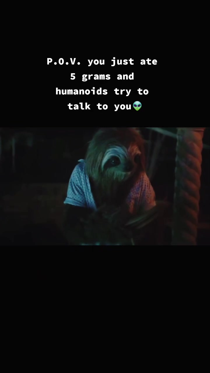 @Theloosemoosedelivery