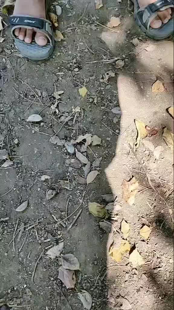 @anil.shindhe77