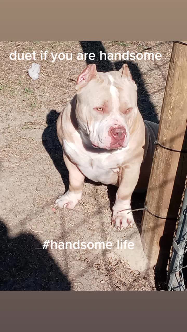 @Flextimebullyz