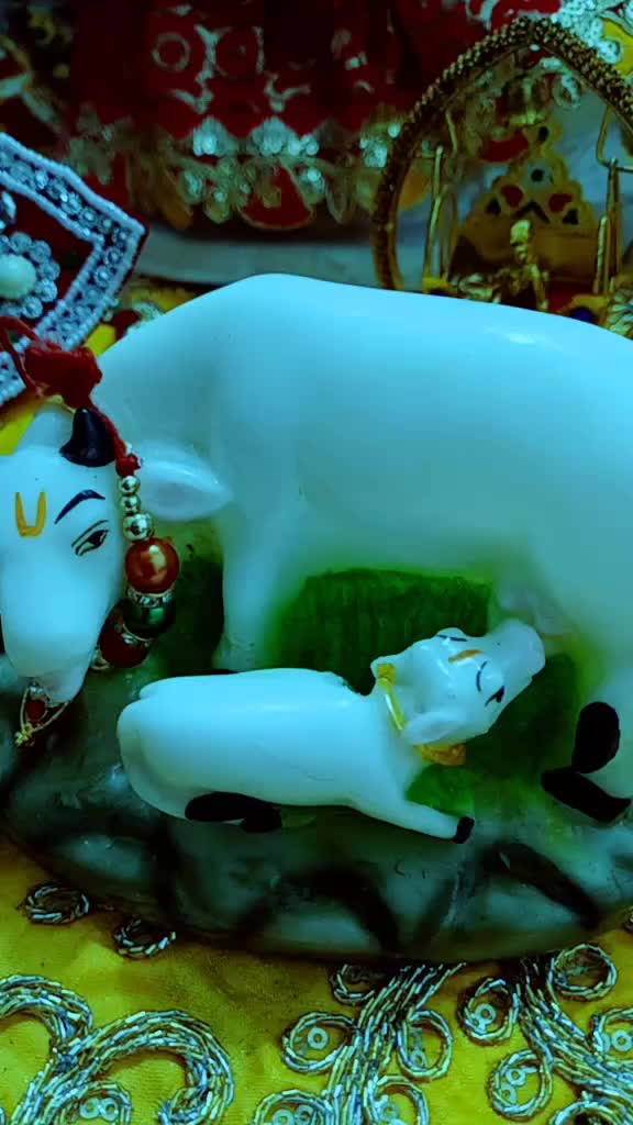 @mamta