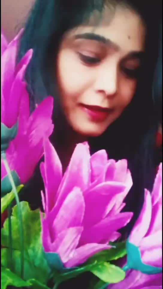 @user535prabhulakshmi