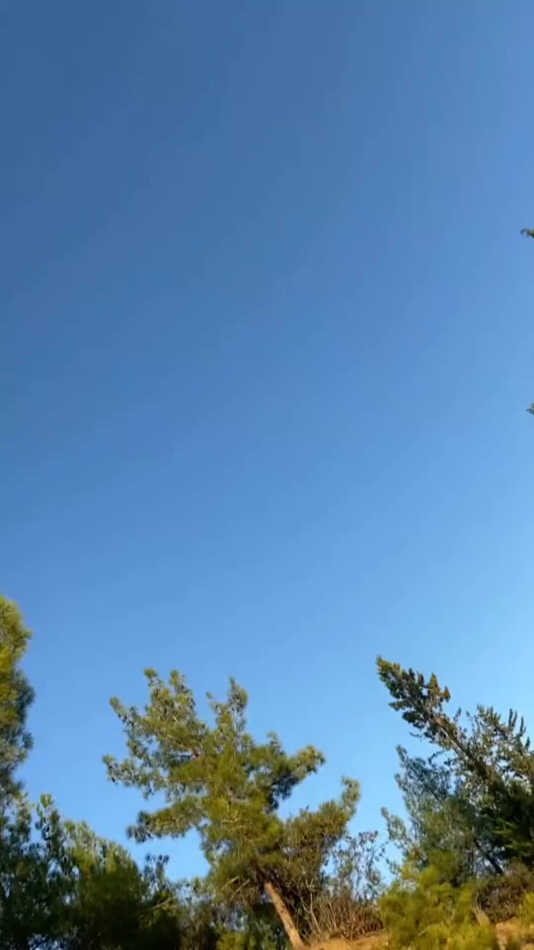 @Emrullah Sürmeli