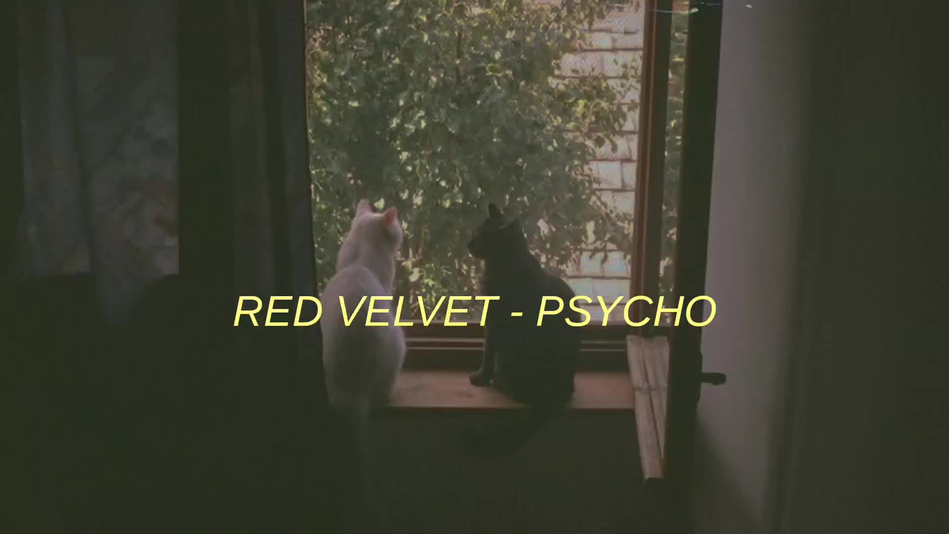 @solacelight🪐