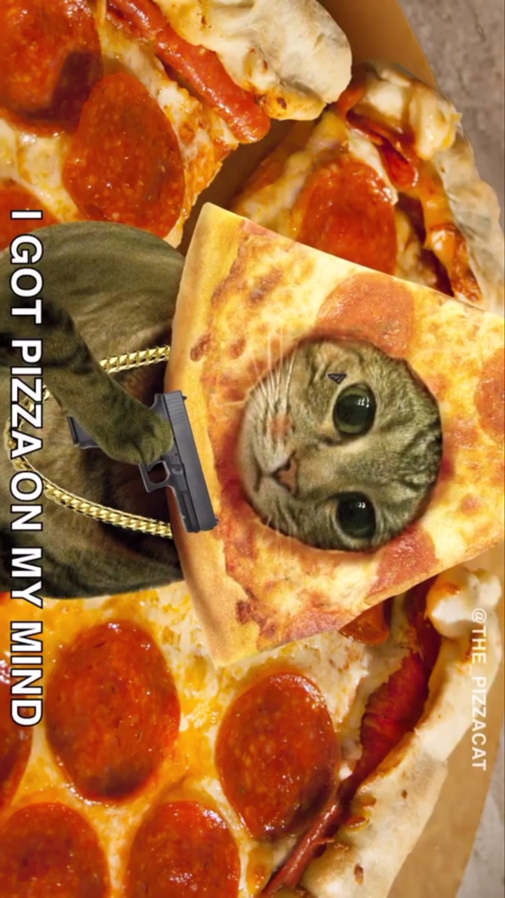 @The Pizzacat