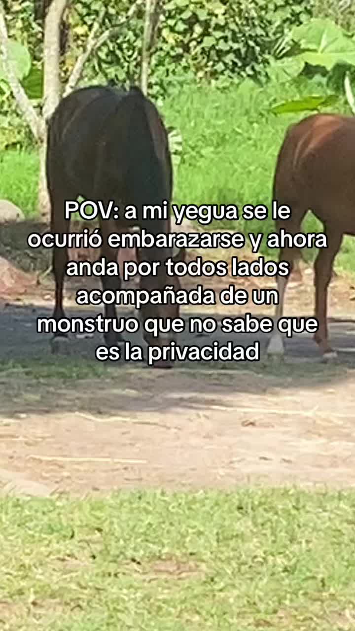 @mafercita.leon