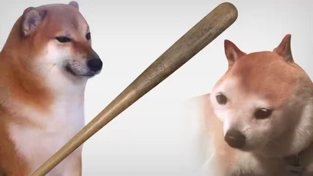 @czyxd
