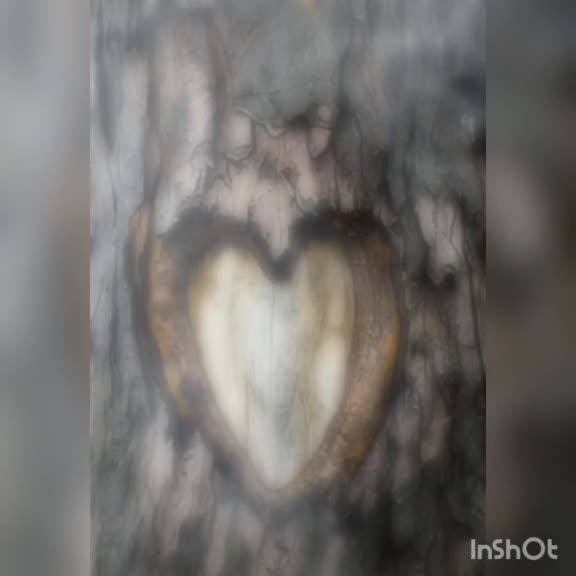 @anu4252❤