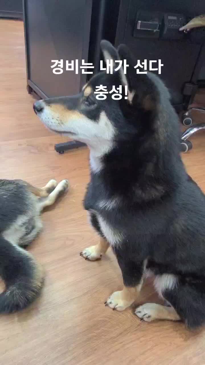 @연탄똘이