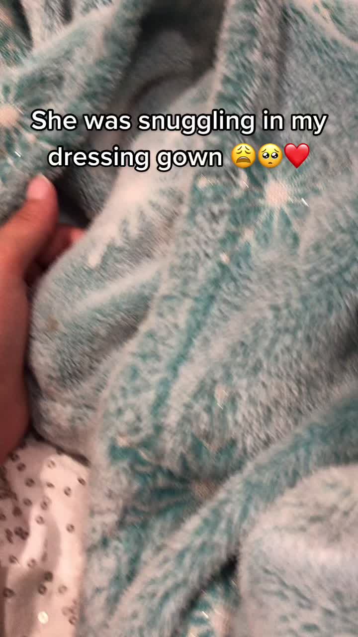 @pnutthehammyy
