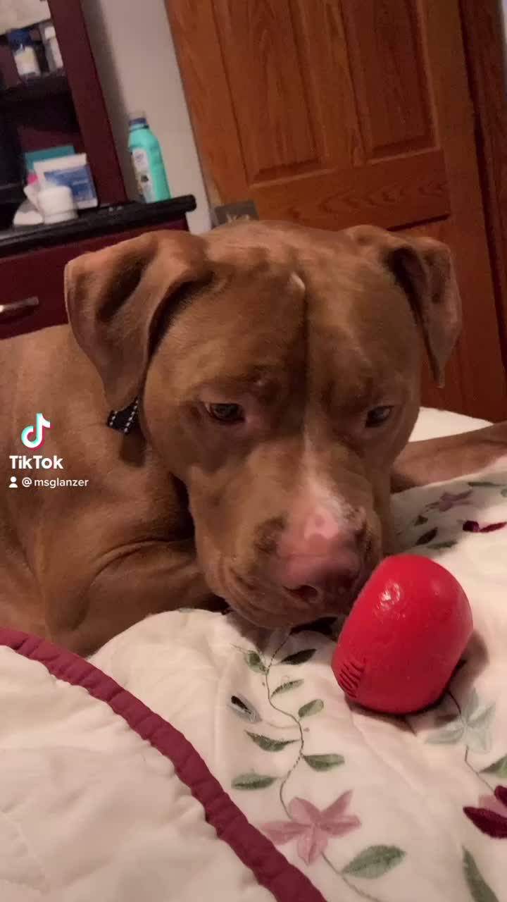 @harley134
